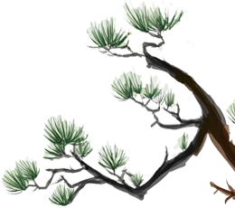 回望六百年，亦想再見