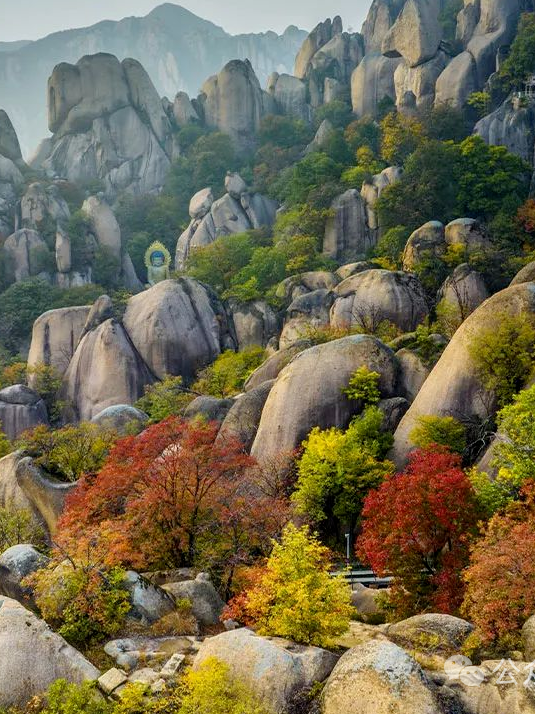 駐馬店秋日漫步指南：抓住秋天的尾巴，在這幾個地方邂逅最美時光