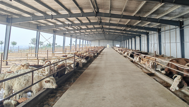 “?！碑a(chǎn)業(yè)蹚出富民路