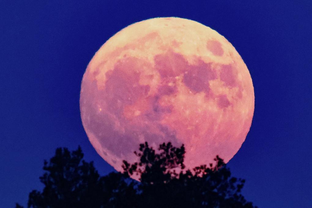 今年“個頭”最大的“超級月亮”即將“上線”