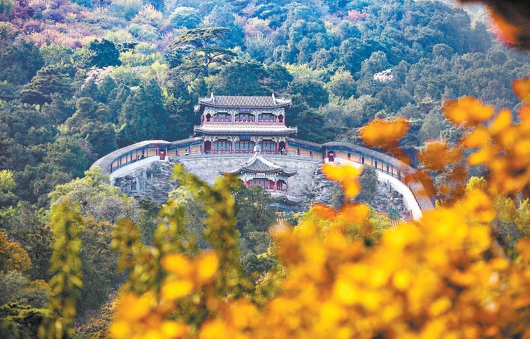 香山秋意晚 賞葉正當(dāng)時(shí)