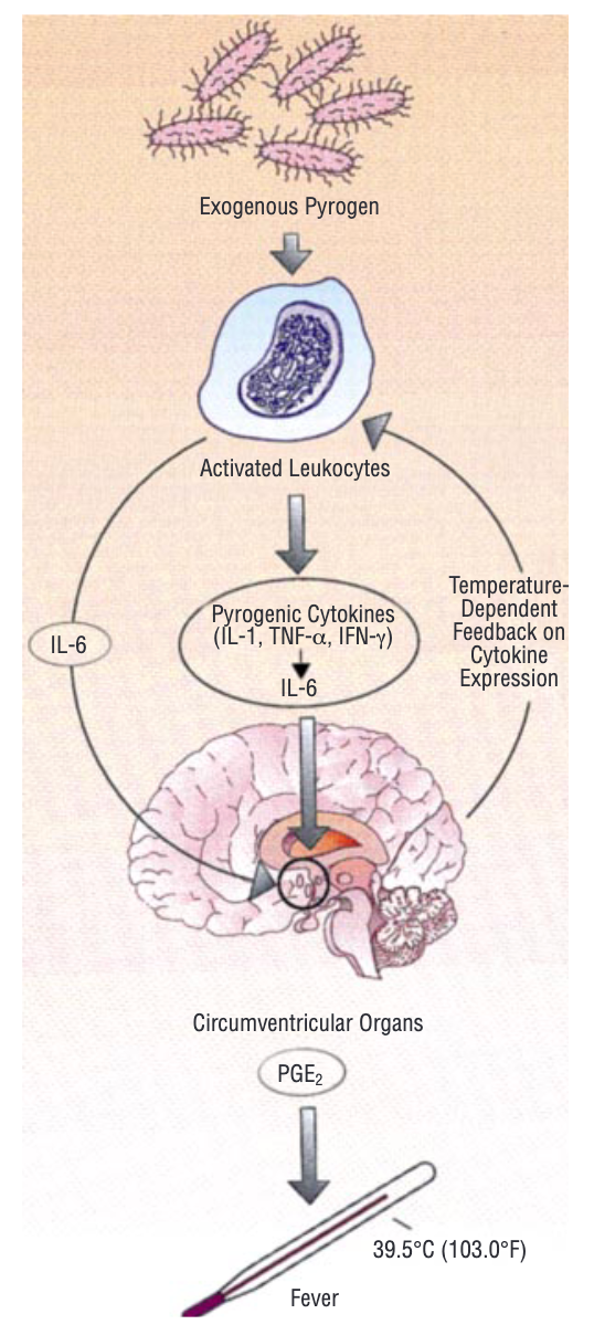 嗓子疼是感冒警報(bào)？做對(duì)這些事阻斷病毒