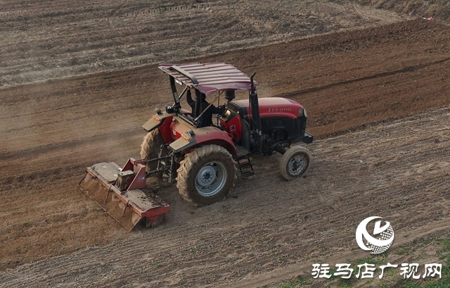 泌陽縣黃山口鄉(xiāng):“三統(tǒng)籌”護航秋收秋種攻堅戰(zhàn)