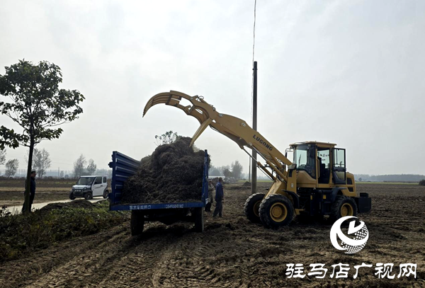 平輿縣玉皇廟鄉(xiāng)：干群攜手清秸稈 秋種禁燒雙推進(jìn)