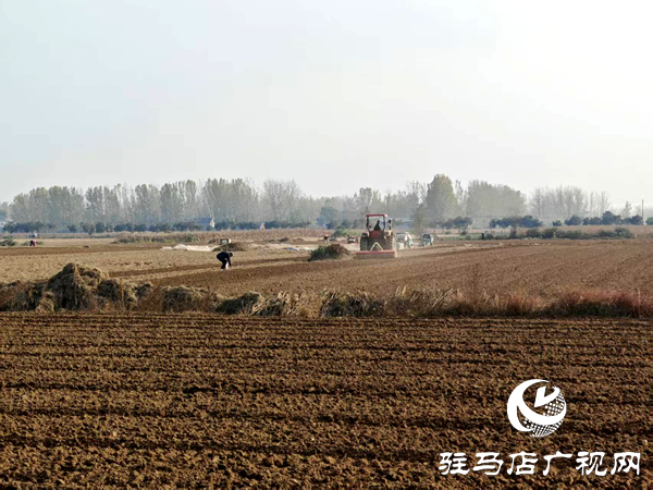 平輿縣射橋鎮(zhèn):農(nóng)機(jī)助耕正當(dāng)時 秋播提速保豐收