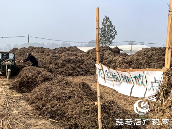 平輿縣廟灣鎮(zhèn)：變“堵”為“疏”解難題 助推人居環(huán)境與秸稈禁燒雙提升