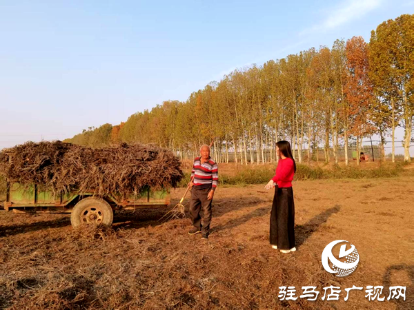 平輿縣李屯鎮(zhèn):秸稈清運(yùn)除隱患 全域巡防護(hù)藍(lán)天