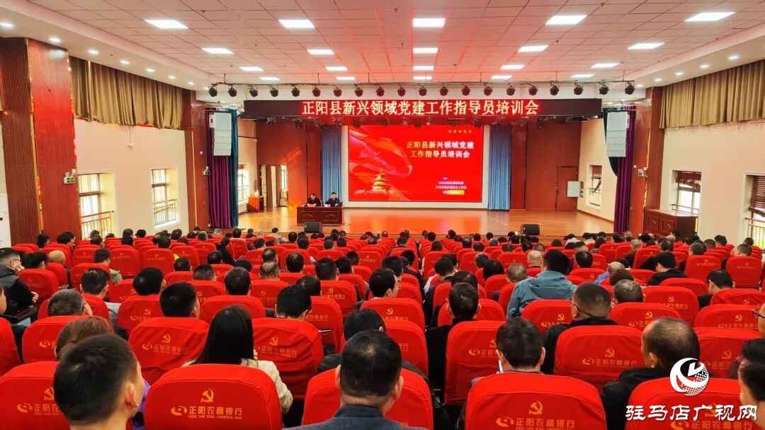 正陽縣舉辦新興領(lǐng)域黨建工作指導(dǎo)員培訓(xùn)會(huì)
