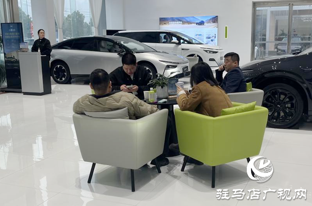 駐馬店:新能源汽車市場(chǎng)持續(xù)火熱 政策技術(shù)雙輪驅(qū)動(dòng)消費(fèi)增長(zhǎng)