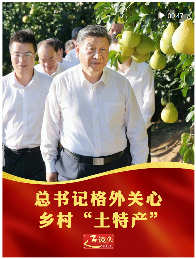 近鏡頭｜總書(shū)記格外關(guān)心鄉(xiāng)村“土特產(chǎn)”