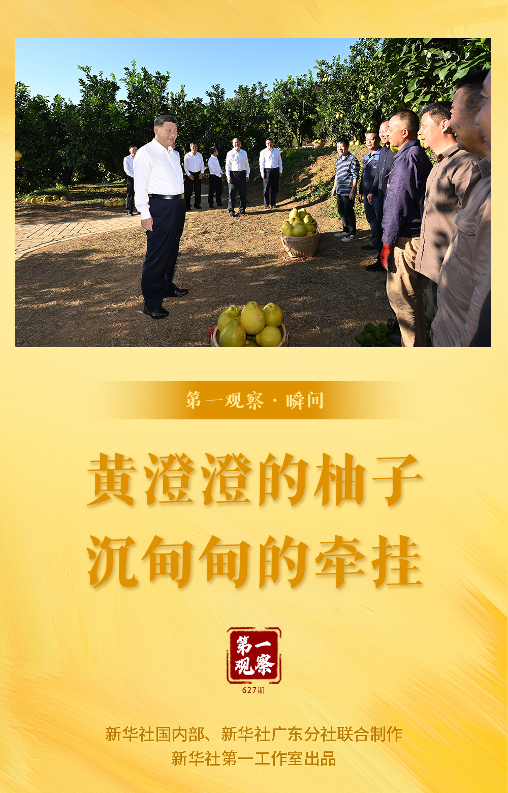 第一觀察·瞬間 | 黃澄澄的柚子，沉甸甸的牽掛