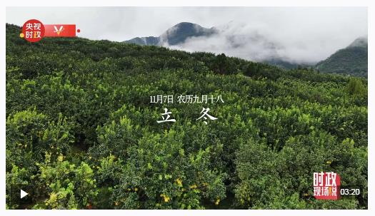 時政現(xiàn)場說丨金柚滿枝頭 產(chǎn)業(yè)甜萬家