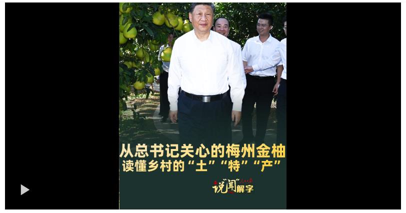 說“聞”解字·從總書記關(guān)心的梅州金柚，讀懂鄉(xiāng)村的“土”“特”“產(chǎn)”