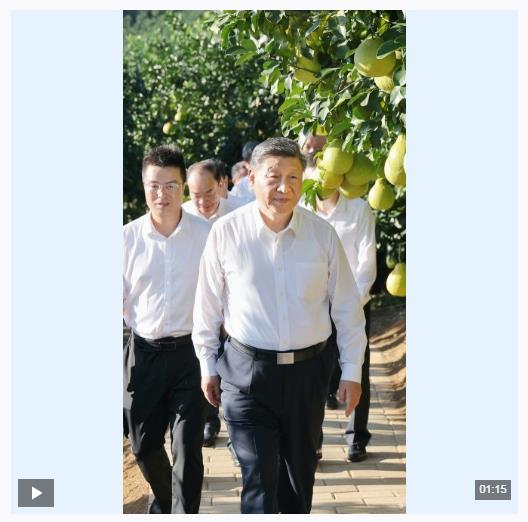 獨家視頻丨總書記關(guān)心的“土特產(chǎn)” 捧起鄉(xiāng)村振興的“金飯碗”
