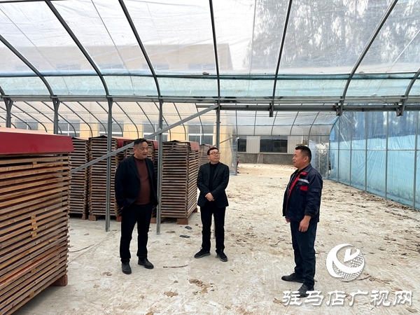 平輿縣射橋鎮(zhèn)：持續(xù)優(yōu)化營商環(huán)境 服務企業(yè)做大做強