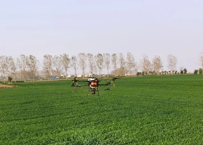 全國(guó)冬小麥播種已過(guò)六成 冬油菜播種過(guò)九成