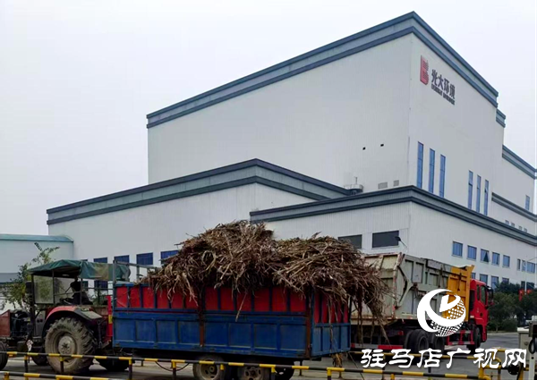 平輿縣萬(wàn)金店鎮(zhèn)：秋防一線踐初心 秸稈“變寶”惠民生