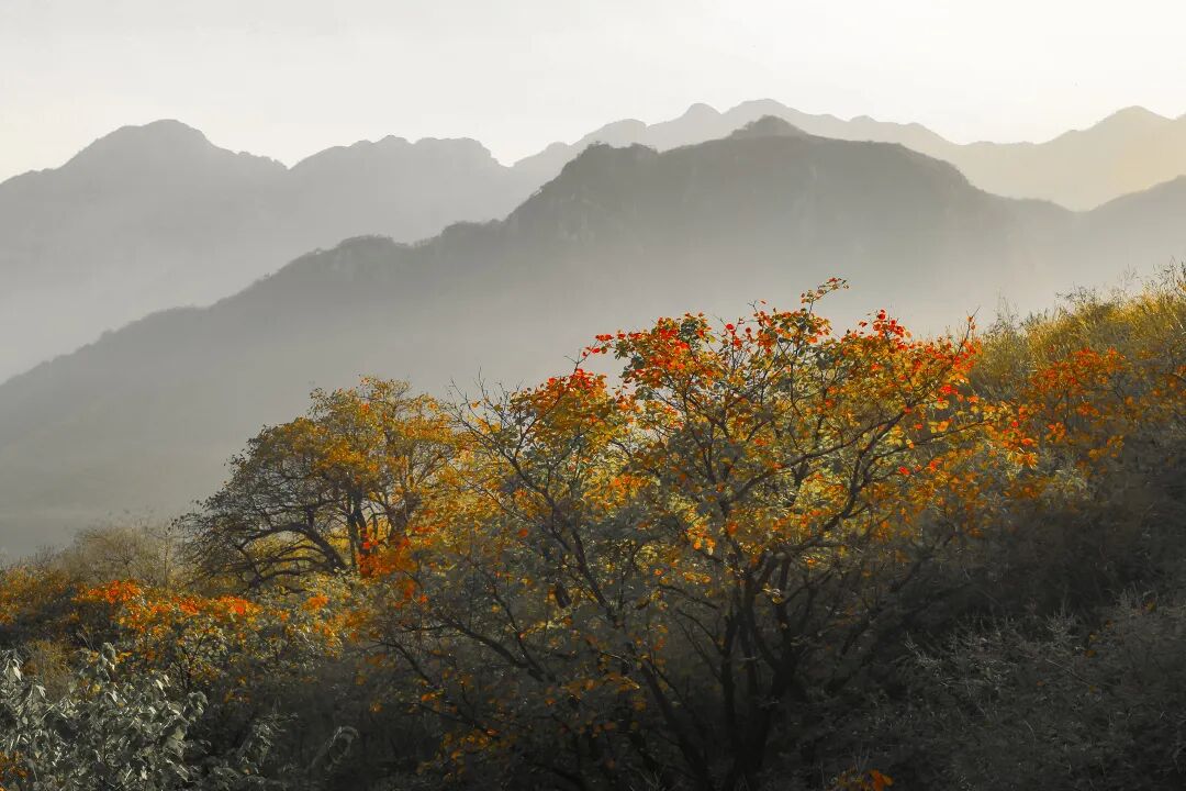 重磅！駐馬店秋日美景強(qiáng)勢上榜微博旅游推薦，這份賞秋指南請收好！