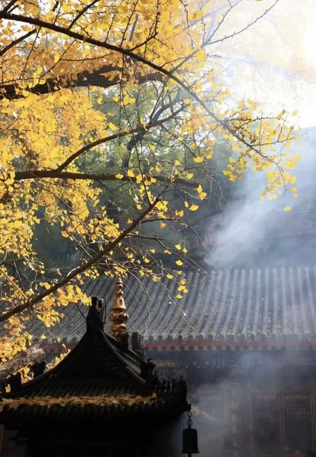 重磅！駐馬店秋日美景強(qiáng)勢上榜微博旅游推薦，這份賞秋指南請收好！