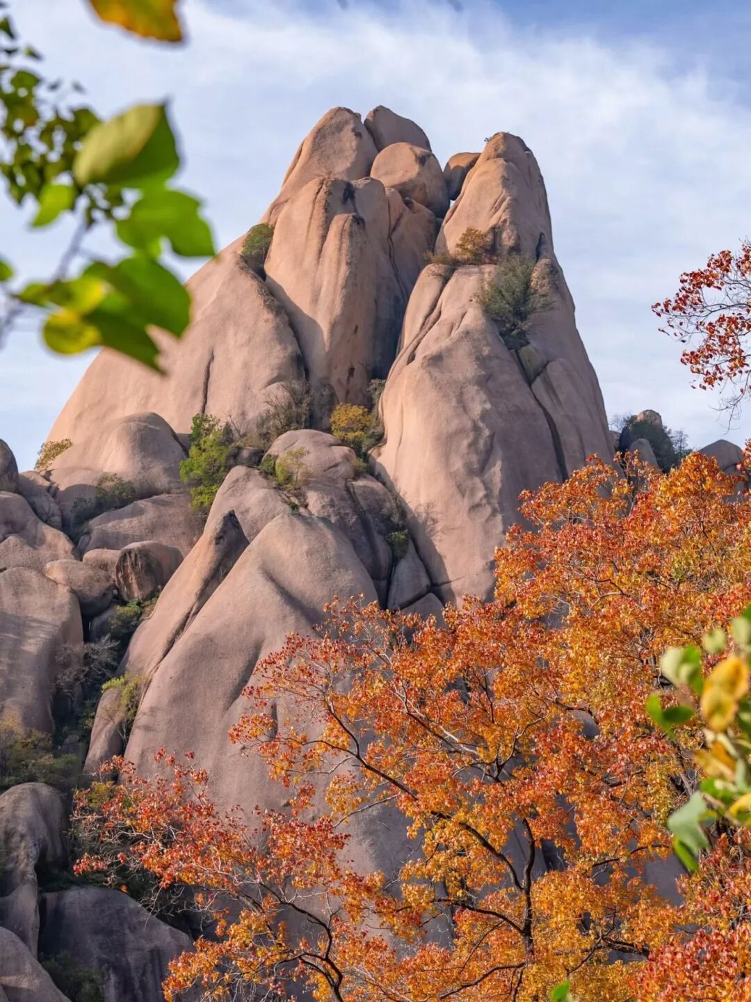 重磅！駐馬店秋日美景強(qiáng)勢上榜微博旅游推薦，這份賞秋指南請收好！