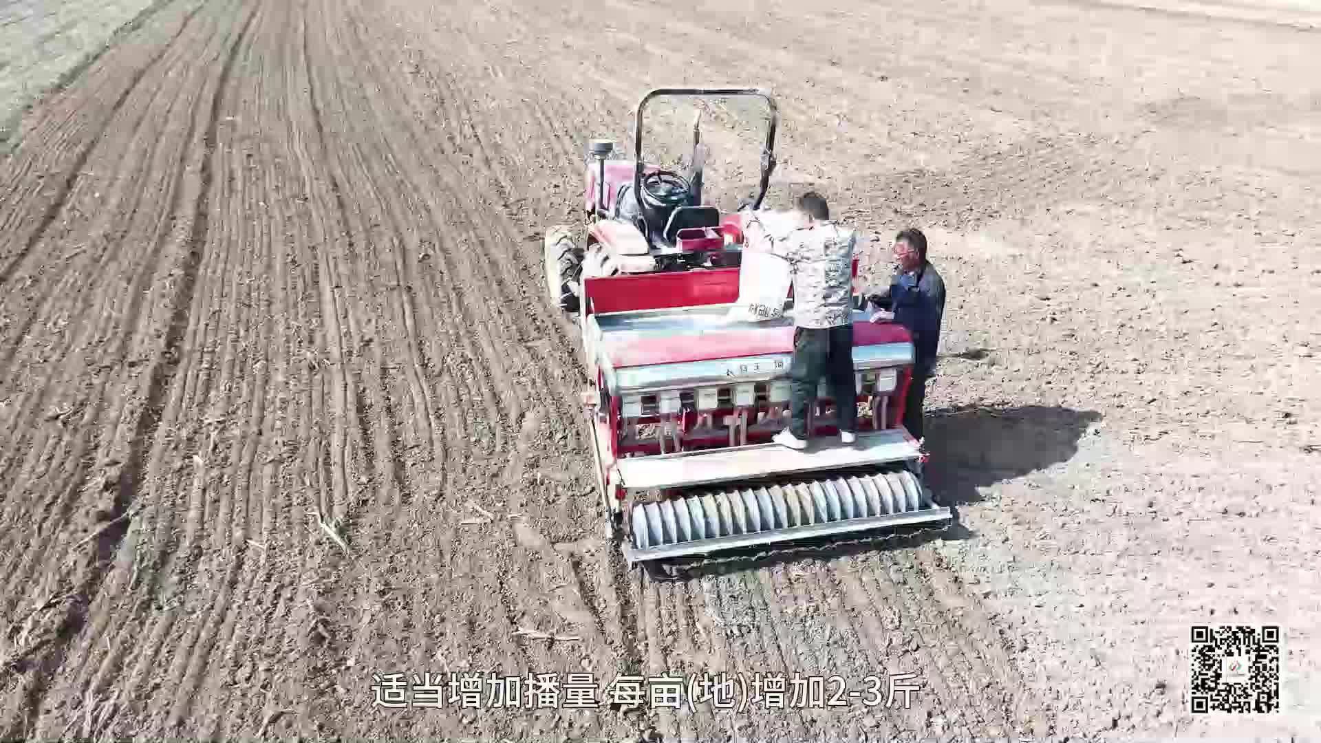 秋播進行時 科學分類指導保障小麥適墑播種