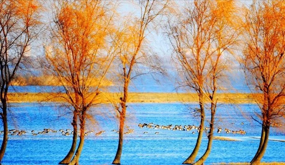 重磅！駐馬店秋日美景強(qiáng)勢上榜微博旅游推薦，這份賞秋指南請收好！