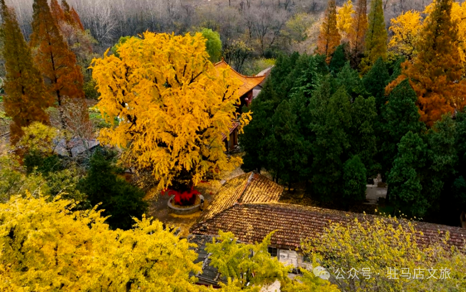 重磅！駐馬店秋日美景強(qiáng)勢上榜微博旅游推薦，這份賞秋指南請收好！