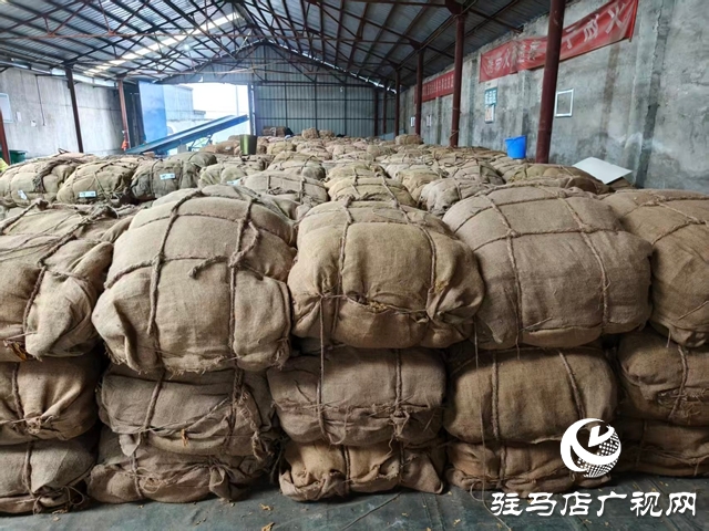 泌陽(yáng)縣郭集鎮(zhèn)：圓滿完成2025年煙葉收購(gòu)工作