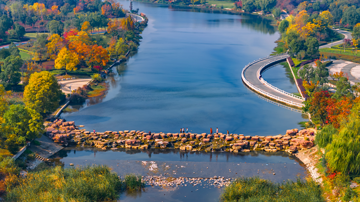 錦繡斑斕醉秋光