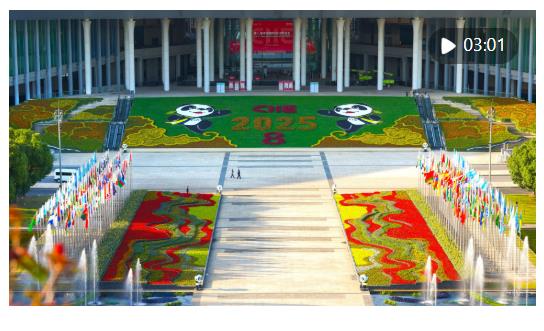 從“東方之約”到“世界機(jī)遇”：高水平開(kāi)放的進(jìn)博實(shí)踐