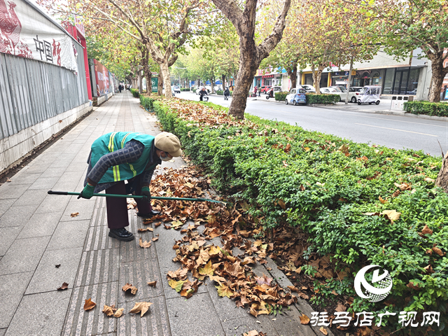  開發(fā)區(qū)城市管理事務(wù)中心：全力清掏落葉 筑牢冬季“安全防火墻”