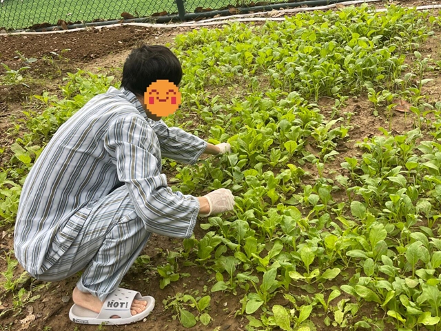 探尋健康新路徑：田園療法帶來(lái)身心治愈