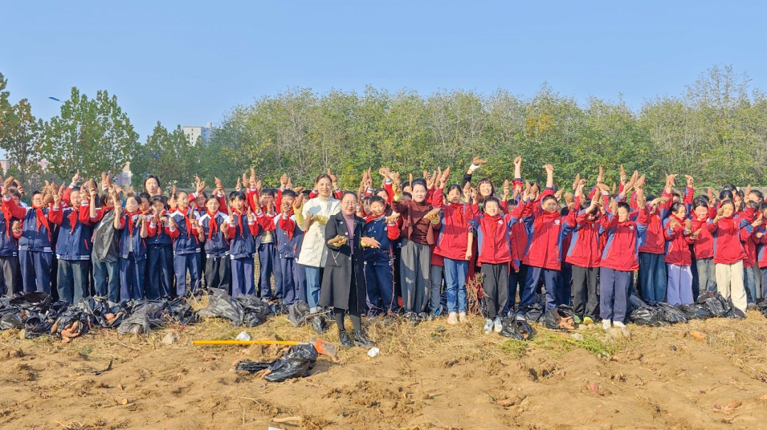  駐馬店實(shí)驗(yàn)小學(xué)：田間挖薯趣無窮 勞動實(shí)踐樂融融