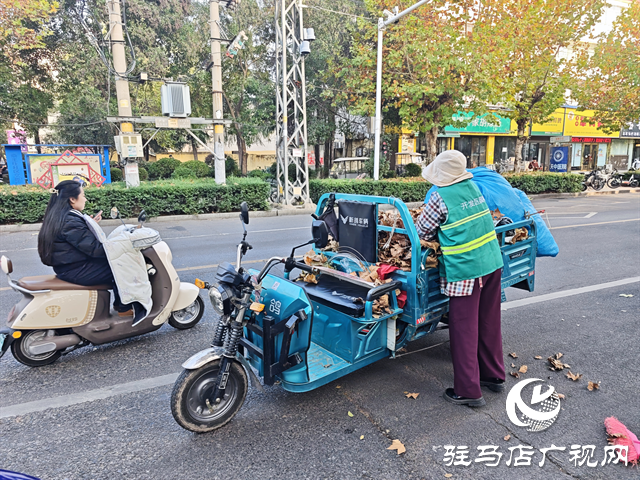  開發(fā)區(qū)城市管理事務(wù)中心：全力清掏落葉 筑牢冬季“安全防火墻”