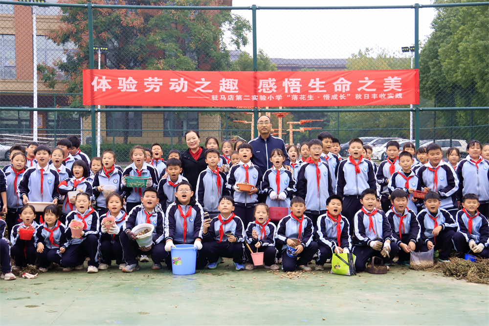  駐馬店第二實(shí)驗(yàn)小學(xué)開展“落花生?悟成長”秋日豐收實(shí)踐活動
