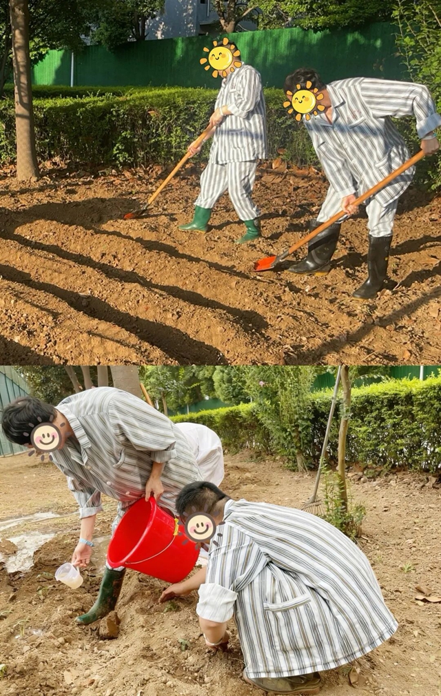 探尋健康新路徑：田園療法帶來(lái)身心治愈