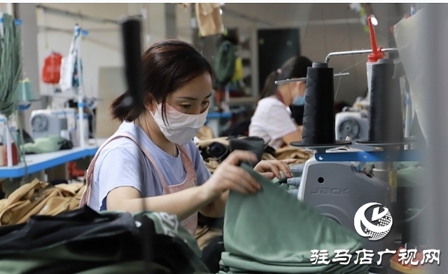 平輿縣：“黨建＋”激活基層善治“一池春水”