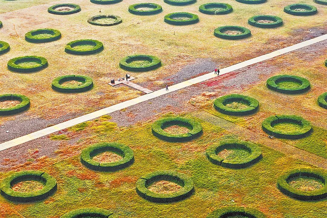 請打開“運(yùn)河秋韻”畫卷！