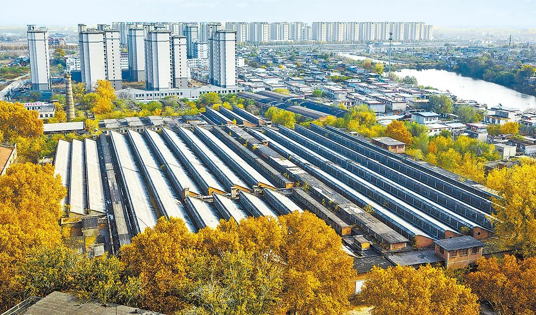 請打開“運(yùn)河秋韻”畫卷！