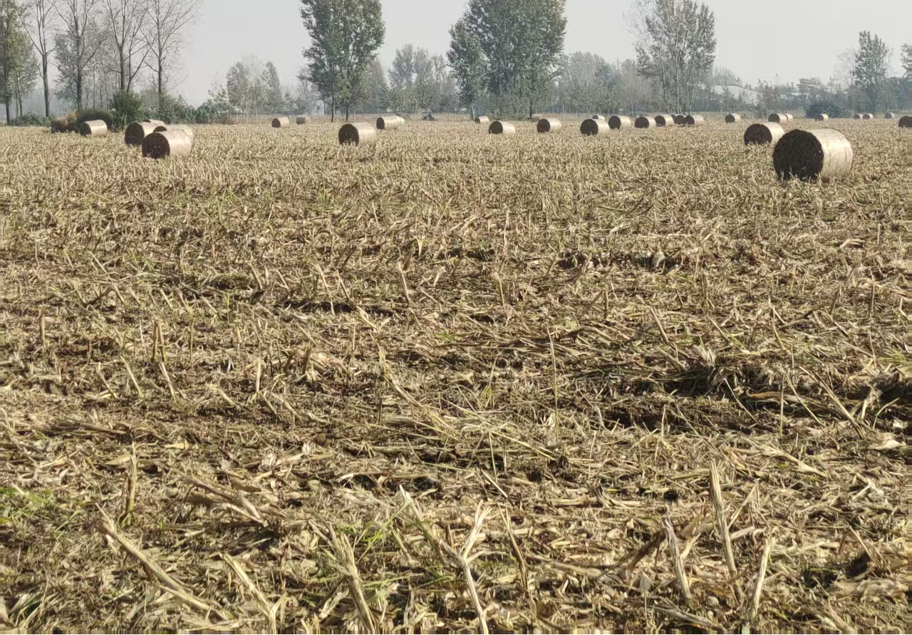 遂平縣玉山鎮(zhèn)：秸稈綜合利用，變廢為寶促增收