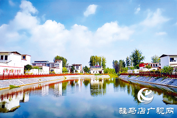 平輿縣：“黨建＋”激活基層善治“一池春水”