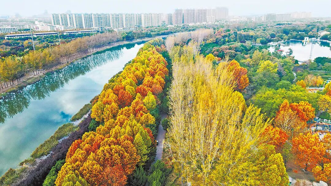 請打開“運(yùn)河秋韻”畫卷！