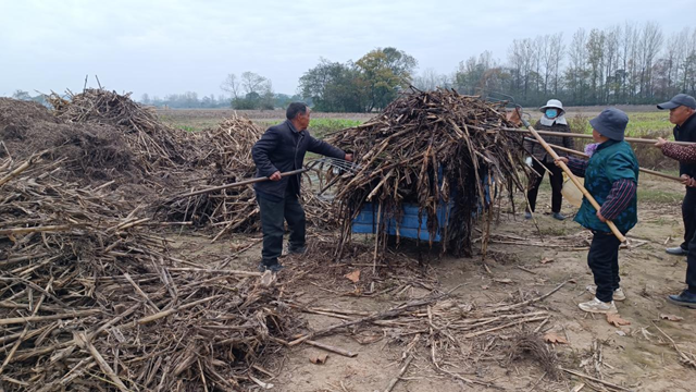 確山縣留莊鎮(zhèn)：秸稈“廢”變“寶” 走出生態(tài)增收雙贏路