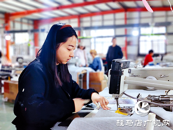 平輿答卷：“三園”模式解鎖強(qiáng)縣富民密碼