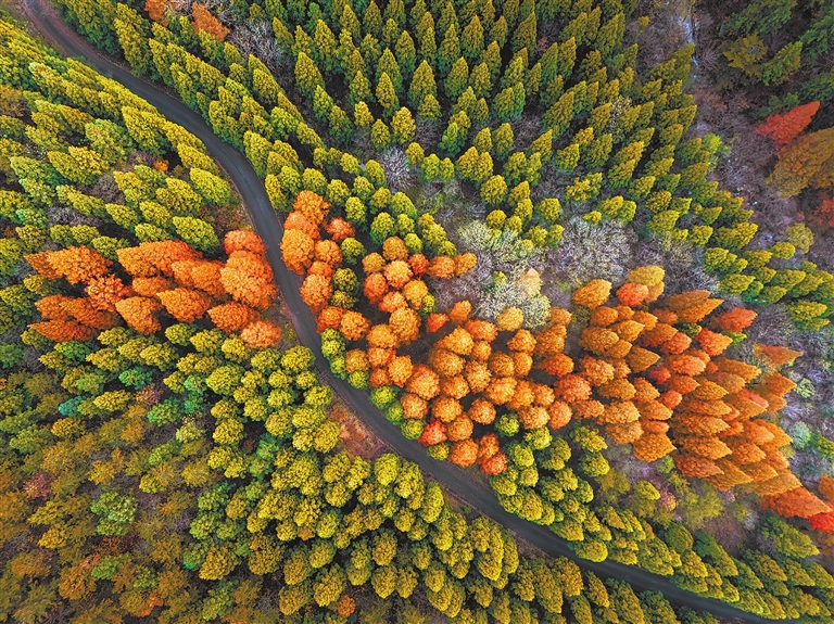 林海斑斕美如畫(huà)