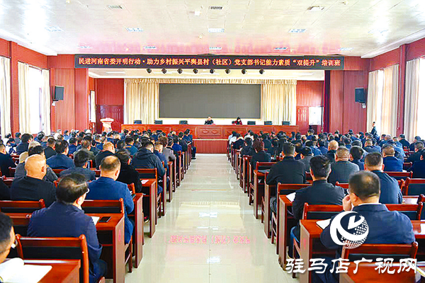 平輿縣：“黨建＋”激活基層善治“一池春水”