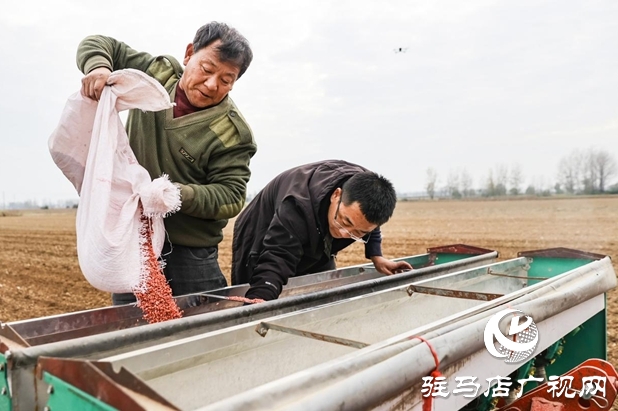 驛城區(qū):精準(zhǔn)施策 力保晚播小麥不減產(chǎn)