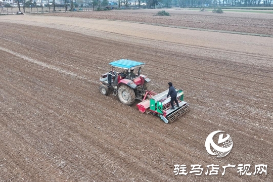 驛城區(qū):精準(zhǔn)施策 力保晚播小麥不減產(chǎn)