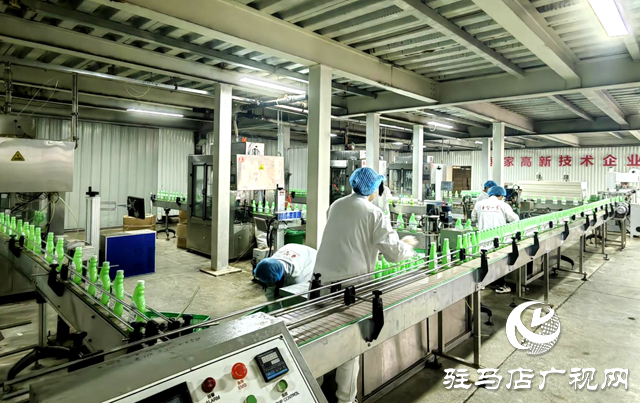 駐馬店市晨鐘生物科技:以現(xiàn)代化治理做強(qiáng)絲瓜產(chǎn)業(yè) 繪就鄉(xiāng)村振興“新樣本”