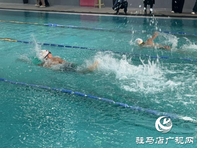 老中青幼同池競技 駐馬店社區(qū)游泳賽展全民健身活力